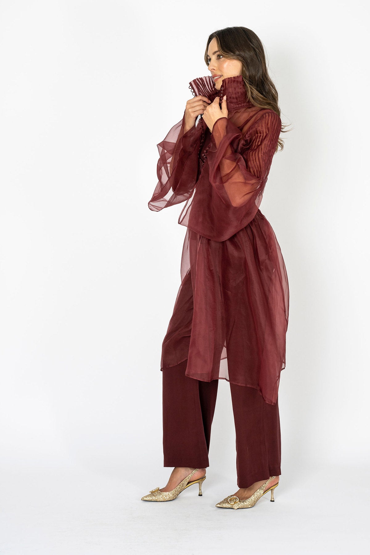 Soiree d'elegance Deep Garnet Hue Organza Dress Top